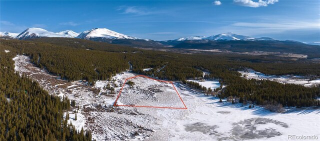 Lakeside Dr, Alma, CO 80420 - photo 5