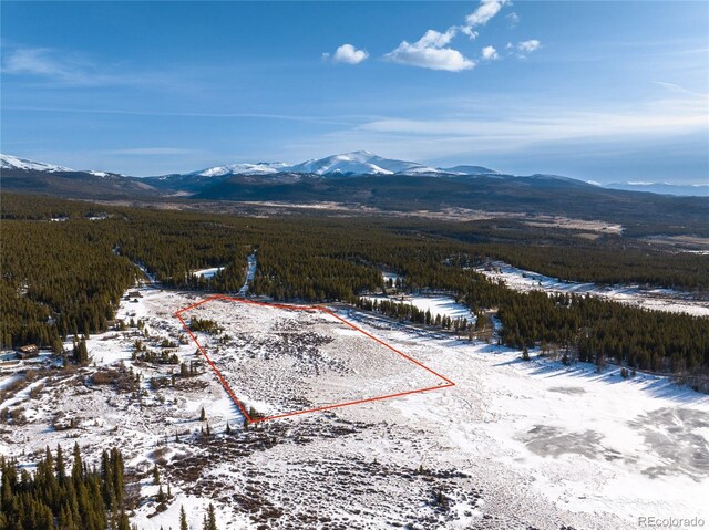 Lakeside Dr, Alma, CO 80420 - photo 7
