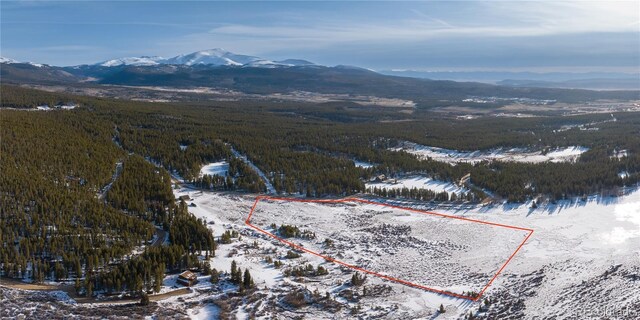 Lakeside Dr, Alma, CO 80420 - photo 8