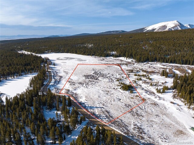 Lakeside Dr, Alma, CO 80420 - photo 11
