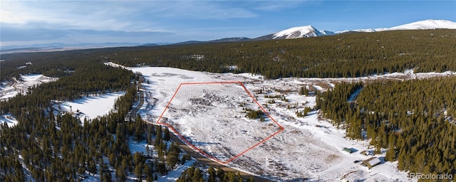 Lakeside Dr, Alma, CO 80420 - photo 12