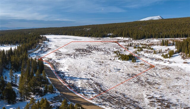 Lakeside Dr, Alma, CO 80420 - photo 13