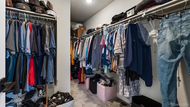 spacious closet with light colored carpet