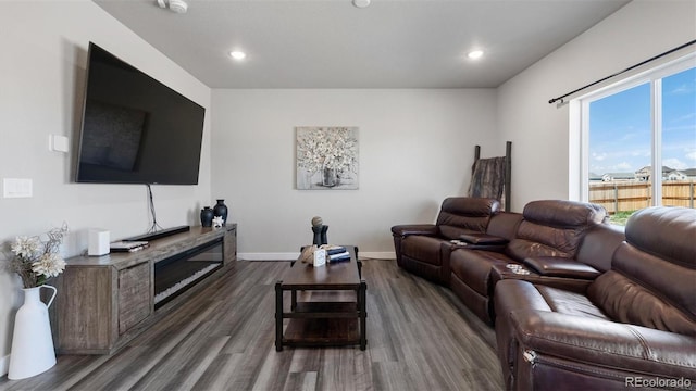 living room featuring dark hardwood / wood-style flooring