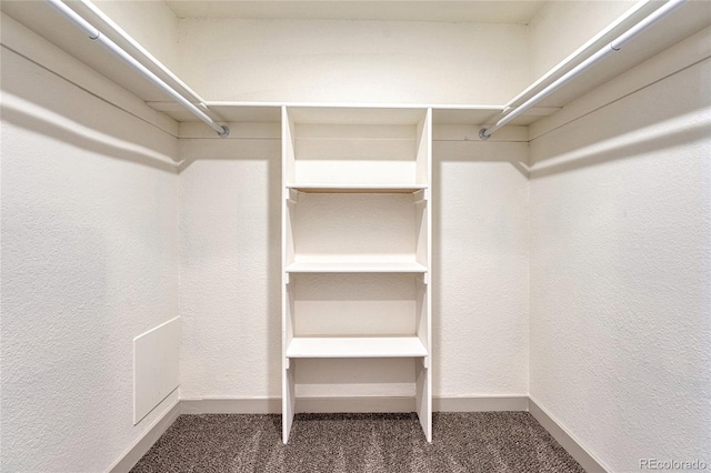 walk in closet with carpet