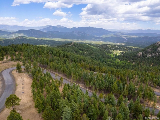 6371 Canyon Creek Rd, Evergreen, CO 80439 - photo 1