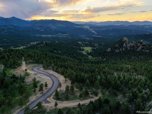 6371 Canyon Creek Rd, Evergreen, CO 80439 - photo 3