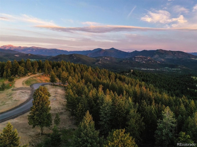 6371 Canyon Creek Rd, Evergreen, CO 80439 - photo 4