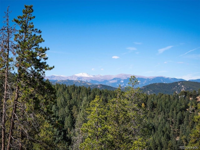 6371 Canyon Creek Rd, Evergreen, CO 80439 - photo 6