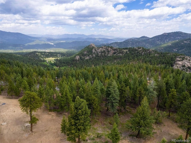 6371 Canyon Creek Rd, Evergreen, CO 80439 - photo 7