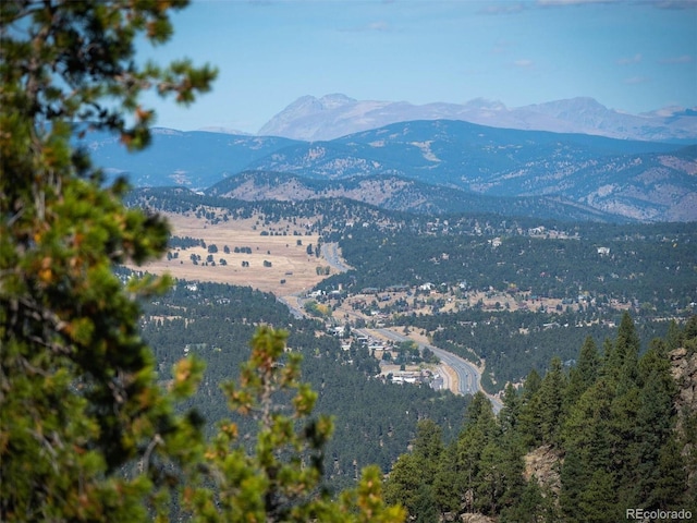 6371 Canyon Creek Rd, Evergreen, CO 80439 - photo 8