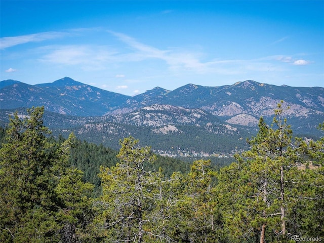 6371 Canyon Creek Rd, Evergreen, CO 80439 - photo 9