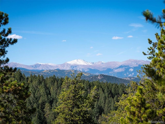 6371 Canyon Creek Rd, Evergreen, CO 80439 - photo 10