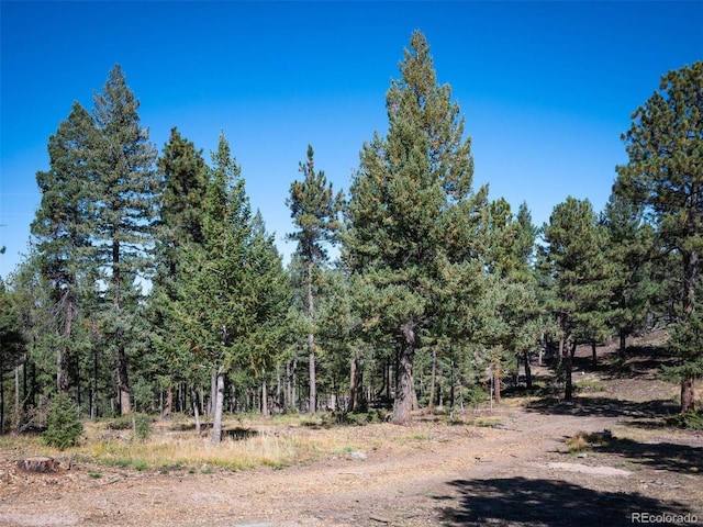 6371 Canyon Creek Rd, Evergreen, CO 80439 - photo 11