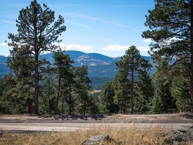 6371 Canyon Creek Rd, Evergreen, CO 80439 - photo 12