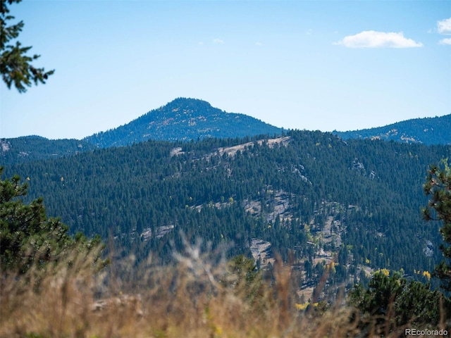 6371 Canyon Creek Rd, Evergreen, CO 80439 - photo 13