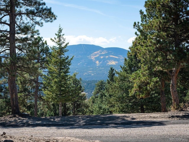 6371 Canyon Creek Rd, Evergreen, CO 80439 - photo 14