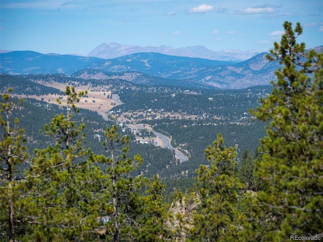 6371 Canyon Creek Rd, Evergreen, CO 80439 - photo 15