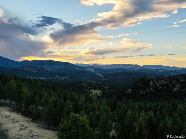 6371 Canyon Creek Rd, Evergreen, CO 80439 - photo 16