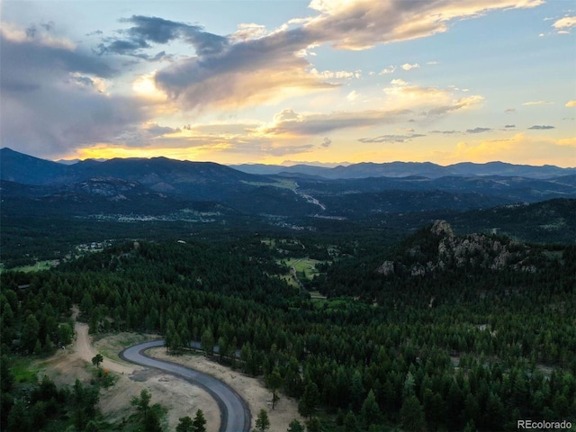 6371 Canyon Creek Rd, Evergreen, CO 80439 - photo 17