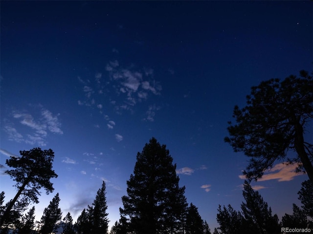 6371 Canyon Creek Rd, Evergreen, CO 80439 - photo 21