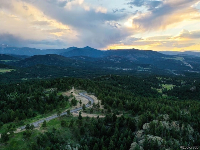 6371 Canyon Creek Rd, Evergreen, CO 80439 - photo 22