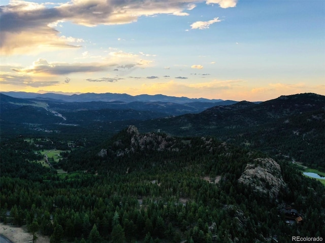 6371 Canyon Creek Rd, Evergreen, CO 80439 - photo 23