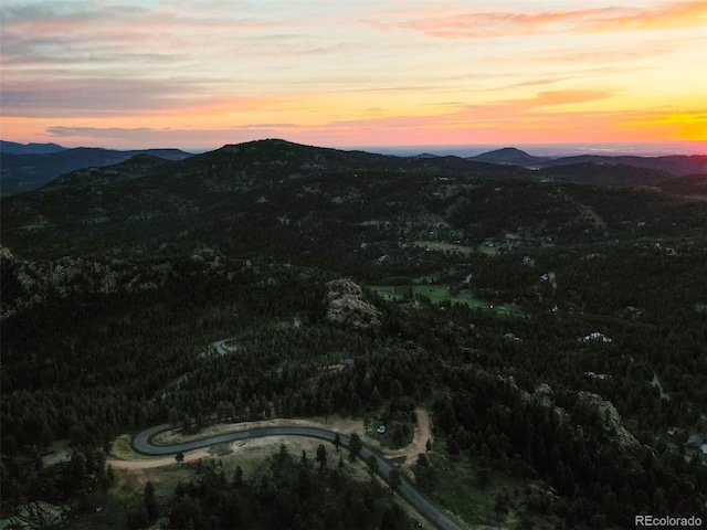 6371 Canyon Creek Rd, Evergreen, CO 80439 - photo 24