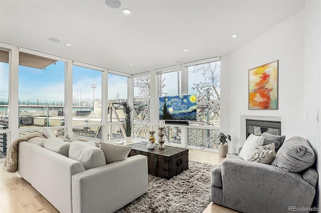 living area with a healthy amount of sunlight, light wood finished floors, a glass covered fireplace, and expansive windows