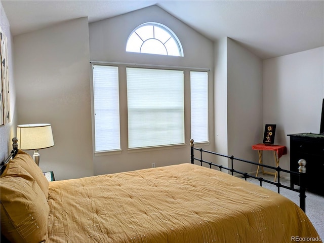 bedroom with lofted ceiling and carpet flooring