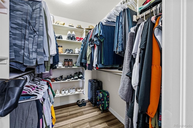 walk in closet featuring wood finished floors