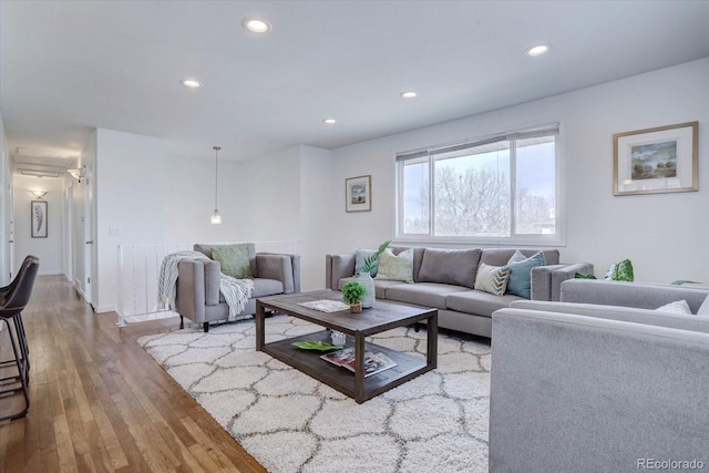 living room featuring wood-type flooring