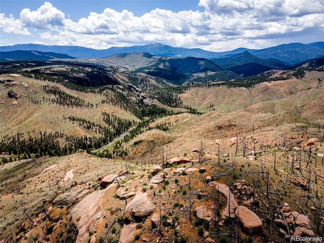 16320A Cochise Trl, Pine, CO 80470 - photo 2