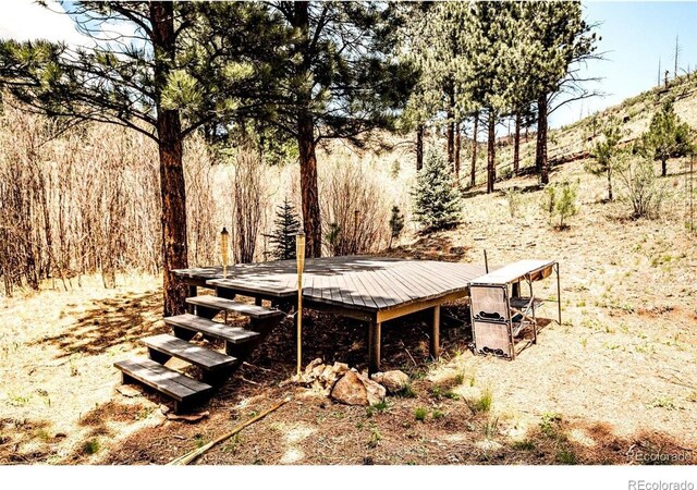 16320A Cochise Trl, Pine, CO 80470 - photo 8