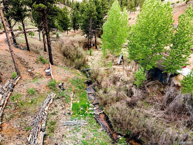 16320A Cochise Trl, Pine, CO 80470 - photo 11