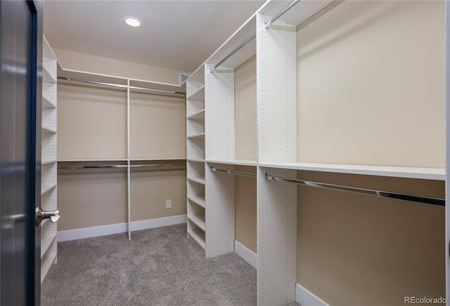 spacious closet with light carpet