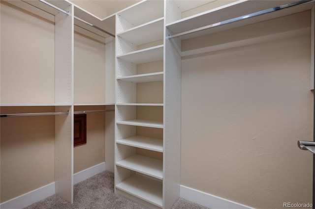 spacious closet featuring light carpet