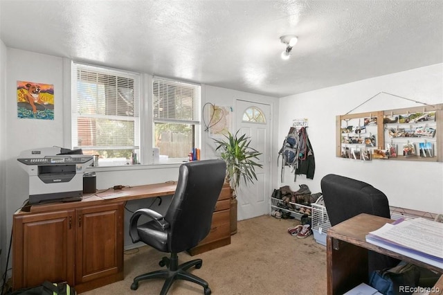 512 Cheyenne St, Golden, CO 80403 - photo 39