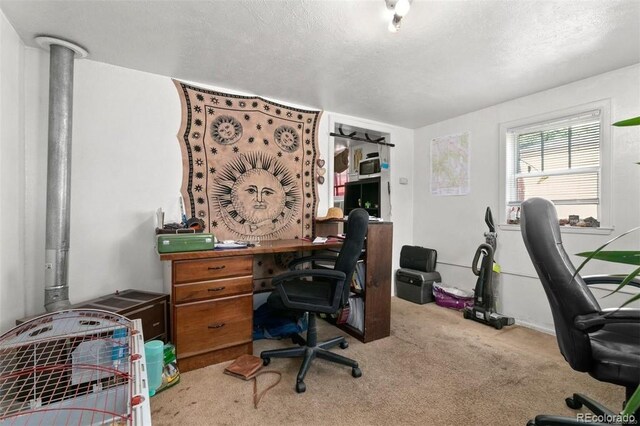 512 Cheyenne St, Golden, CO 80403 - photo 40