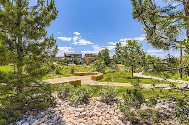 14074 Yellow Tip Dr, Parker, CO 80134 - photo 32