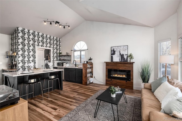 living room with sink, dark hardwood / wood-style floors, and vaulted ceiling