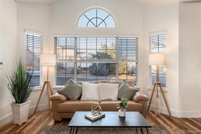 living room with hardwood / wood-style flooring and a towering ceiling