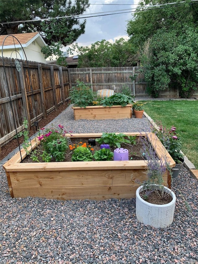 6614 Everett St, Arvada, CO 80004 - fenced yard featuring a vegetable garden