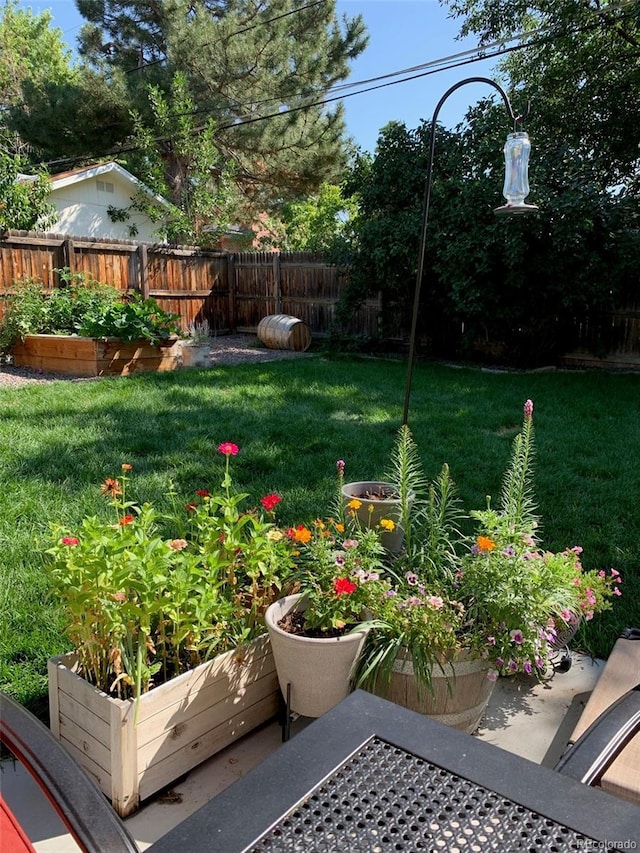 6614 Everett St, Arvada, CO 80004 - fenced yard featuring a garden