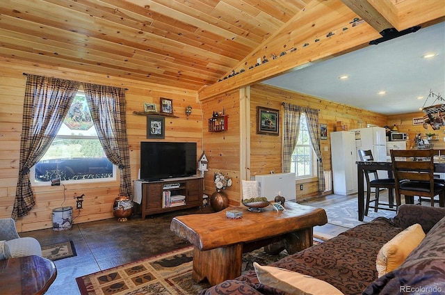 1106 Hull Ave, Westcliffe, CO 81252 - living area with plenty of natural light, wooden walls, vaulted ceiling, and recessed lighting