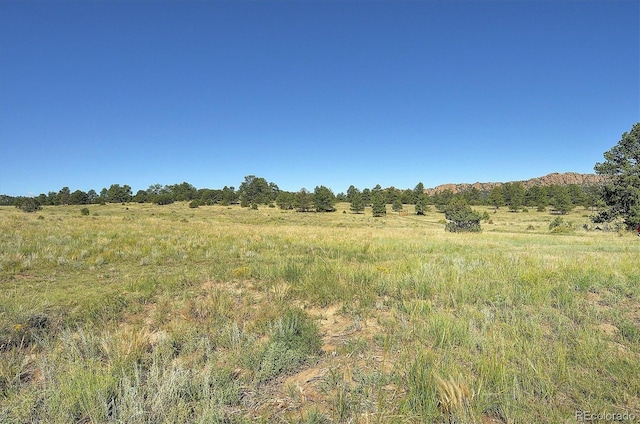 1106 Hull Ave, Westcliffe, CO 81252 - view of nature featuring rural landscape