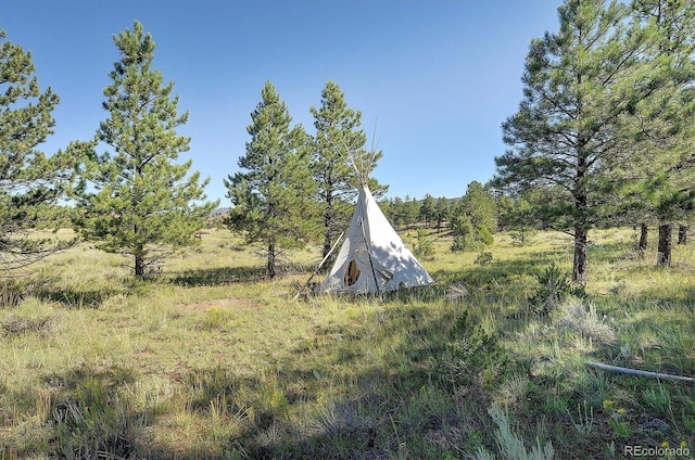 1106 Hull Ave, Westcliffe, CO 81252 - view of yard