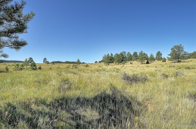 1106 Hull Ave, Westcliffe, CO 81252 - view of nature with rural landscape