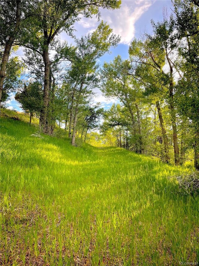 35 Shillelagh Pl, Howard, CO 81233 - photo 39