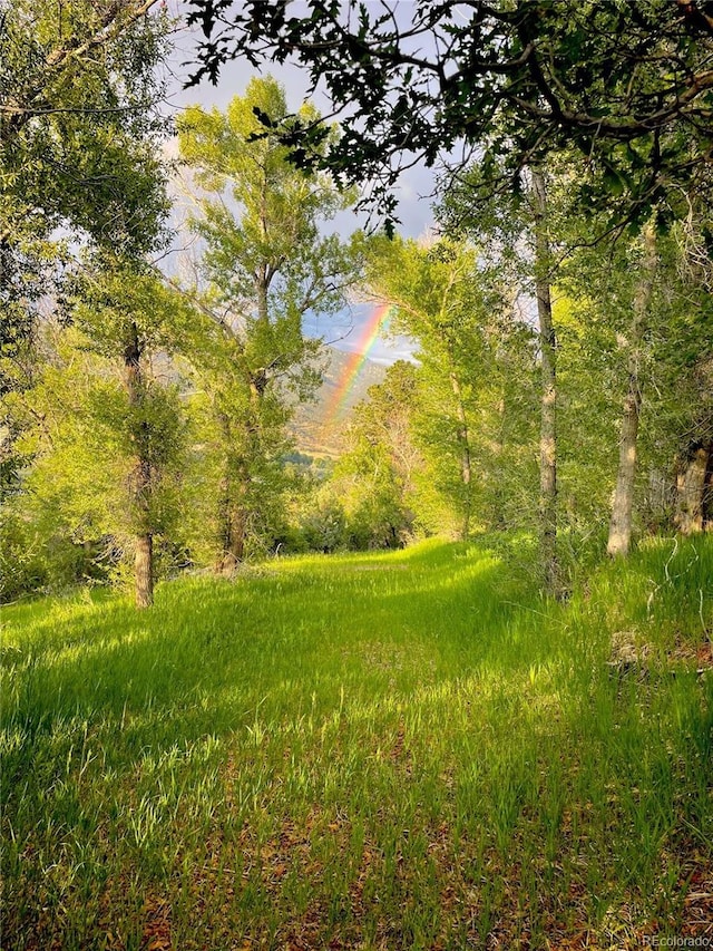 35 Shillelagh Pl, Howard, CO 81233 - photo 40